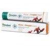 Himalaya Acne-n-Pimple Cream For Spots Blackheads Blemish Treatment 20g